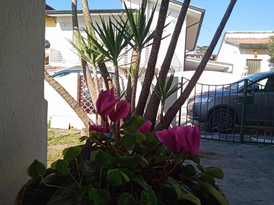 Florinda B&B Виареджо Экстерьер фото